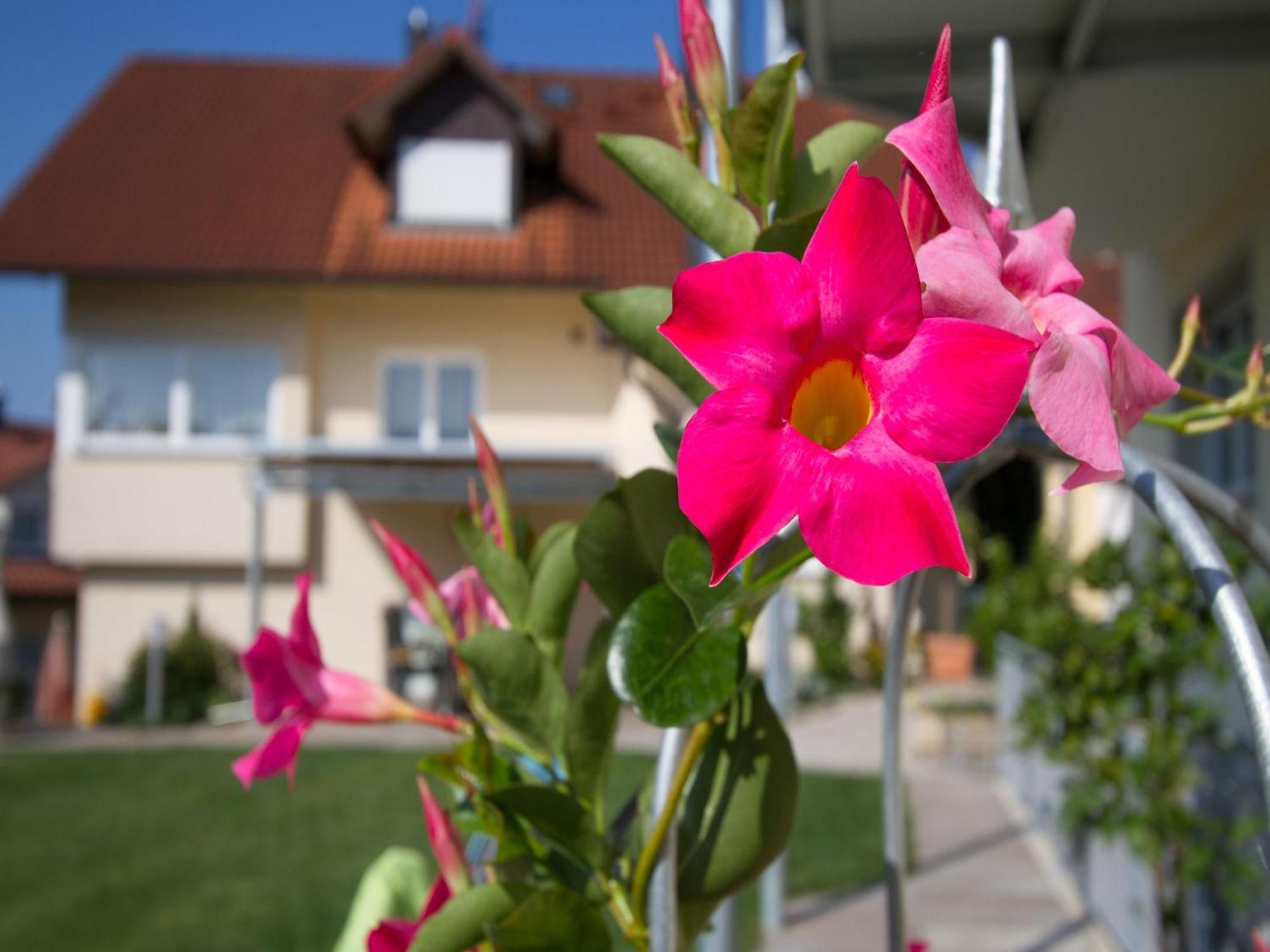 Obst- Und Ferienhof Witzigmann Васербург Екстериор снимка